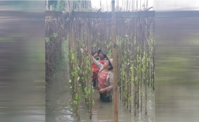 ခီဖျိလၢထံဒိၣ်အဃိ ပါတနီၣ်ကီၢ်ဆၣ်ပူၤ တဘျုၣ်ကျီးဟးဂီၤ