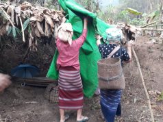 သုးမီၤစိရိၤအသုးဟဲကွံာ်လီၤမ့ၣ်ပိၢ်ခံသီဆဲးတဲးလၢ သုးက့ ၅ ဟီၣ်က၀ီၤအပူၤ