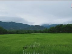 သုးမီၤစိရိၤအသုးဒီး(KNLA)သုးက့ ၆ တၢ်ခးလိာ်သးကဲထီၣ်ဖဲကွ့ကလ့သ၀ီ