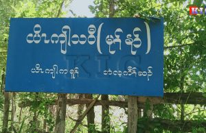 ခီဖျိပယီၤသုးမၤအါထီၣ်သုးဂံၢ်ဘါလၢဘံလ့ကီၢ်ဆၣ်ပူၤအဃိ လီၢ်က၀ီၤဖိတနီၤတုၤလၢခဲအံၤဘၣ်ဃ့ၢ်ထီၣ်ဒံး၀ဲ