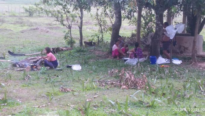တၢ်ဒုးဆူၣ်ထီၣ်လၢကီးတရံးကလံၤထံးအဃိလီၢ်က၀ီၤၦၤလီၢ်အိၣ်ကမှံဖိတဖၣ်ဘၣ်သုးကဒီးအလီၢ်အကျဲ