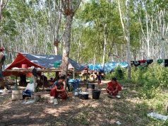 ခီဖျိပယီၤသုးခးလီၤကျိဖးဒိၣ်အဃိ ကၠီၣ်ထၣ်သ၀ီဖိတနီၤဘၣ်လဲၤစံၣ်အိၣ်လၢကီၢ်ကၠီၣ်တဲၣ်ကီၢ်ဆၢတကပၤ