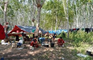 ခီဖျိပယီၤသုးခးလီၤကျိဖးဒိၣ်အဃိ ကၠီၣ်ထၣ်သ၀ီဖိတနီၤဘၣ်လဲၤစံၣ်အိၣ်လၢကီၢ်ကၠီၣ်တဲၣ်ကီၢ်ဆၢတကပၤ
