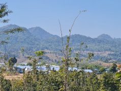 တၢ်ဒုးကဲထီၣ်ဒိၣ်ဒိၣ်မုၢ်မုၢ်လၢလ့က့ၣ်ကိာ်၀့ၢ်သီပူၤ