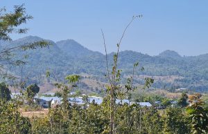 တၢ်ဒုးကဲထီၣ်ဒိၣ်ဒိၣ်မုၢ်မုၢ်လၢလ့က့ၣ်ကိာ်၀့ၢ်သီပူၤ