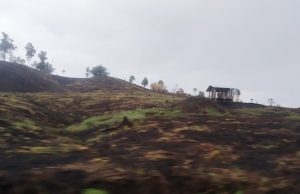 ခီဖျိဟီၣ်လာ်မ့ၣ်ပိၢ်ဒီးမ့ၣ်ပိၢ်လၢအတပိၢ်ဖးထီၣ်ဒံး၀ဲဘၣ်တဖၣ်အဃိ လ့က့ၣ်ကိာ်လီၢ်က၀ီၤၦၤမၤအီၣ်ခုးမၤအီၣ်သံၣ်ဖိတဖၣ်က့ၤဖံးအီၣ်မၤအီၣ်တဘူၣ်ဒံးဘၣ်
