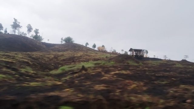 ခီဖျိဟီၣ်လာ်မ့ၣ်ပိၢ်ဒီးမ့ၣ်ပိၢ်လၢအတပိၢ်ဖးထီၣ်ဒံး၀ဲဘၣ်တဖၣ်အဃိ လ့က့ၣ်ကိာ်လီၢ်က၀ီၤၦၤမၤအီၣ်ခုးမၤအီၣ်သံၣ်ဖိတဖၣ်က့ၤဖံးအီၣ်မၤအီၣ်တဘူၣ်ဒံးဘၣ်