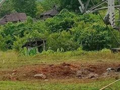 ပယီၤသုးဒီးတၢ်ပၢၢ်ဆၢကရူၢ်အဘၢၣ်စၢၤတၢ်ဒုးကဲထီၣ်အဃိလီမ့ၣ်အူၦၤမၤတၢ်ဖိလၢအဟဲဘှီမ့ၣ်အူသံ(၂)ဂၤႇဘၣ်ဒိ(၄)ဂၤ