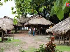 (BGF)လူၤထၢသုးလၢခီတီၢ်(မၠၣ်ကၠံငူၣ်)ၦၤလီၢ်အိၣ်ကဒုအိၣ်အလီၢ်အဃိဟံၣ်ဖိဃီဖိလၢအိၣ်ဖဲန့ၣ်တဖၣ်ထံၣ်ဘၣ်တၢ်ကီတၢ်ခဲ