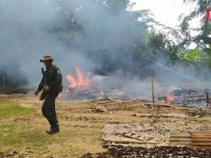 ပယီၤသုးဂုာ်ကျဲးစၢးလၢကဆီလီၤအသုးကလၢၤဖဲကွ့ကလ့ဒီးကီးသနီၣ်သ၀ီအဘၢၣ်စၢၤ