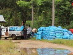 ဒုးယၤတၢ်ဖ့ၣ်စၢတၢ်အိၣ်သးအဃိလီၢ်က၀ီၤဖိလၢအမၤအီၣ်ဘုခ့တဖၣ်တၢ်ကီတၢ်ခဲအိၣ်လၢကဖံးမၤတၢ်အဂီၢ်