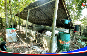 လၢဖိမုၣ်တၢ်ကူၣ်ဘၣ်ကူၣ်သ့အဂီၢ် နါမူၤ ဘုၣ်ဆါထိး