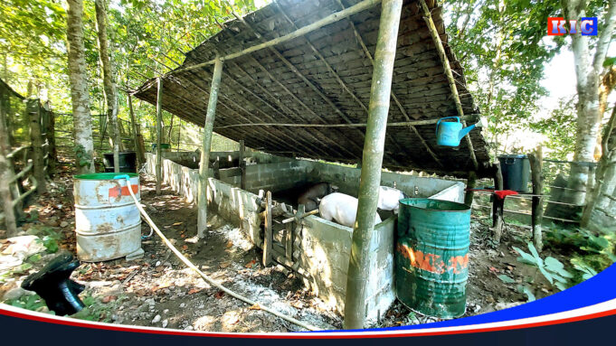 လၢဖိမုၣ်တၢ်ကူၣ်ဘၣ်ကူၣ်သ့အဂီၢ် နါမူၤ ဘုၣ်ဆါထိး