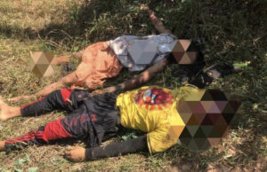 ဘံလ့ကီၢ်ဆၣ်ပူၤ ပယီၤသုးခးသံကမျၢၢ်လၢအဟးထီၣ်က့ၤလီၤ ၂ ဂၤ
