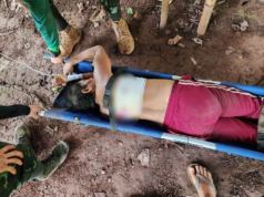 ပယီၤသုး(ခလရ–၉၇)ခးလီၤကျိဖးဒိၣ်အဃိ ကမျၢၢ်လၢအဟးဃုအီၣ်ကုၤတလးအီဒံၣ်တဖၣ်သံဘၣ်ဒိဘၣ်ထံး