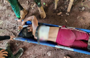 ပယီၤသုး(ခလရ–၉၇)ခးလီၤကျိဖးဒိၣ်အဃိ ကမျၢၢ်လၢအဟးဃုအီၣ်ကုၤတလးအီဒံၣ်တဖၣ်သံဘၣ်ဒိဘၣ်ထံး