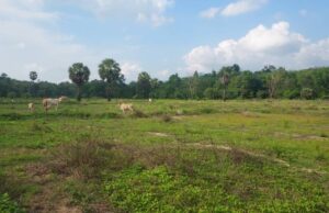 ကီးတရံး၀့ၢ်ခိၣ်၀့ၢ်ဃၢၤကမျၢၢ်တဖၣ် ဖံးအီၣ်မၤအီၣ်စံ၁်တဘူၣ်ဘၣ်