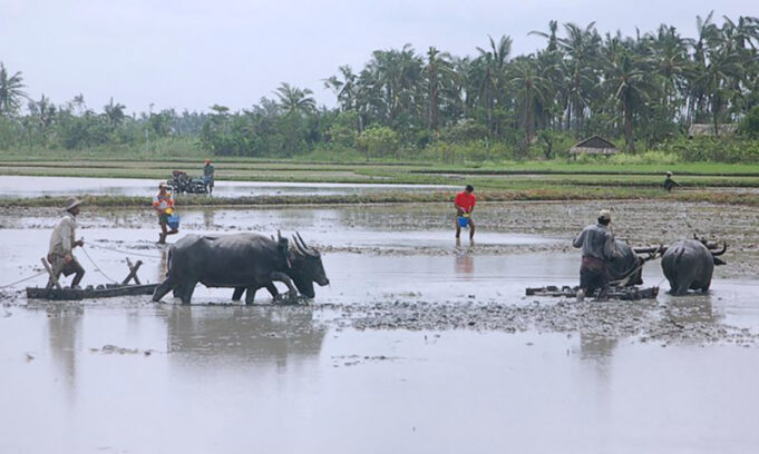 ဟီၣ်စီကသံၣ်အၦ့ၤထီၣ်အဃိ ချၢၣ်လွံၢ်ထူၣ်ကီၢ်ရ့ၣ်ၦၤမၤအီၣ်ကျီးဖိတဖၣ်တၢ်ကီတၢ်ခဲအိၣ်လၢဆဲးသူၣ်အီၣ်ဖျးအီၣ်တၢ်