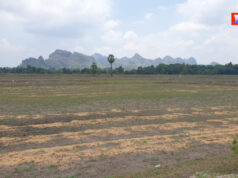 စံ၁်ပျီလၢအိၣ်ထံၤလိၤ–နဘူကျဲမုၢ်ခိၣ်တိၤကပၤသ့ၣ်တဖၣ်အံၤ သူၣ်အီၣ်ဘုတသ့ဘၣ်