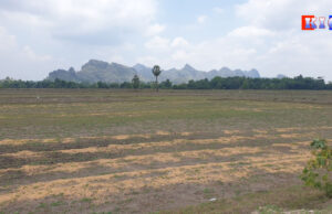 စံ၁်ပျီလၢအိၣ်ထံၤလိၤ–နဘူကျဲမုၢ်ခိၣ်တိၤကပၤသ့ၣ်တဖၣ်အံၤ သူၣ်အီၣ်ဘုတသ့ဘၣ်