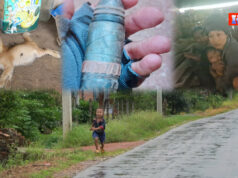 ပယီၤသုးဖီၣ်ကိးသူ၀ဲကမျၢၢ်(၁၅)ဂၤဒ်တၢ်ဒီသဒၢစုက၀ဲၤအသိးဒီးတုၤလၢခဲအံၤတပျၢ်လီၤ၀ဲဒံးဘၣ်