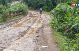 ခီဖျိသိလ့ၣ်တီၣ်သ့ၣ်တဖၣ်အံၤလ့ၢ်ထီၣ်လ့ၢ်လိၤကိးမုၢ်နံၤဒဲးအဃိ သ၀ီပူၤကျဲတဖၣ်ဟးဂီၤ