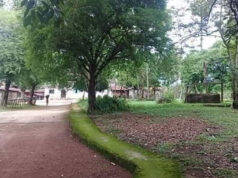 တၢ်ဒုးကဲထီၣ်လၢကီးတရံး၀့ၢ်ဃၢၤအခါ ကမျၢၢ်ဘၣ်ဒိ(၅)ဂၤဒီးဟံၣ်ဃီတၢ်သူၣ်ထီၣ်ဟးဂီၤတနီၤ