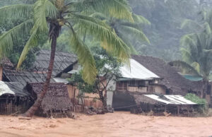 မဲၢ်ရၤမိၢ်ဒီးမဲၢ်လးအူးဘၣ်ကီဘၣ်ခဲဒဲက၀ီၤပူၤခီဖျိထံဒိၣ်ႇဟီၣ်ခိၣ်လ၁်အဃိ ဟံၣ်ဃီဟးဂီၤ(၁၀၀)ဘျဲၣ်