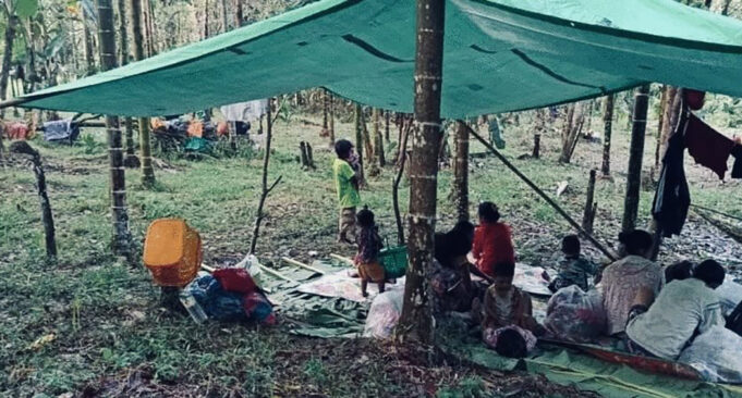 တနီသရံၣ်ကီၢ်ဒိၣ်ပူၤ ကမျၢၢ်ၦၤဃ့ၢ်မှံဟးဖျိးတဖၣ်သဂၢၢ်ဘၣ်ကသံၣ်ကသီတကူတလၢ