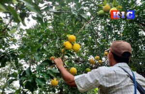 တၢ်ချံတၢ်သၣ်လၢဟးထီၣ်ကညီကီၢ်စဲၣ်ပူၤတဖၣ်အၦ့ၤတအိၣ်ဘၣ်အဃိၦၤသူၣ်အီၣ်ဖျးအီၣ်တၢ်ဖိတဖၣ်ထံၣ်ဘၣ် တၢ်ကီတၢ်ခဲ