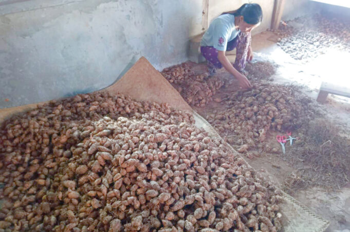 လၢဒီၣ်ဖးခိၣ်ကလံၤစိးအပူၤ တယီဃ့အၦ့ၤဂ့ၤဘၣ်ဆၣ်ဒ်ၦၤဟ့ၣ်အၦ့ၤအသိးဘၣ်ဆါ၀ဲ