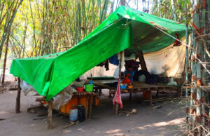 မူကီၢ်ဆၣ်ပူၤ ကမျၢၢ်ၦၤလီၢ်အိၣ်ကမှံဖိတနီၤဒိးန့ၢ်ဘၣ်တၢ်ဟၢဖၢလူတၢ်ဆါ