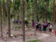 မနိၣ်ရိၢ်ဟီၣ်က၀ီၤကမျၢၢ်ဘၣ်ဃ့ၢ်တၢ်ဒုးသ့ၣ်တဖၣ်လိၣ်ဘၣ်၀ဲတၢ်ဆီၣ်ထွဲမၤစၢၤအဂ့ၢ်မနိၣ်ရိၢ်ဟီၣ်က၀ီၤမူဒါခိၣ်စံး၀ဲ