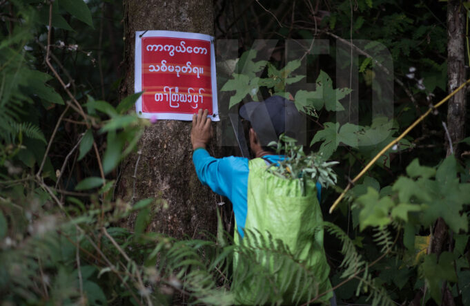 ကမၤဆူၣ်ထီၣ်တၢ်ဒီသဒၢသ့ၣ်ၦၢ်ဒီးထံကွာ်ခံအဂီၢ်ကီၢ်သူလ့ၤသ့ၣ်ၦၢ်၀ဲၤကျိၤမၤ၀ဲတၢ်ဟ့ၣ်ခီဟ့ၣ်နီၤသ့ၣ်ၦၢ်တၢ်မၤကျဲသနူ