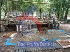 စူးကလံတၢ်ဒုးအပူၤတၢ်ဖီၣ်သမူန့ၢ်ပယီၤသုး(၂၁)ဂၤဒီးမၤန့ၢ်ဃုာ်ကျိချံၦာ်သၣ်အါအါဂီၢ်ဂီၢ်