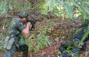 သထူၣ်ကီၢ်ဆၣ် တၢ်ပၢၢ်ဆၢသုးကရူၢ်ခိးထုးပယီၤသုးသိလ့ၣ်လၢကျဲ သိလ့ၣ်ဟးဂီၤတခိၣ်