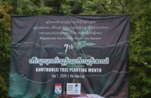 ကပာ်ဖှိၣ်မၤသကိးတၢ်ဒီးကတီၤက့ၤန့ဆၢၣ်တၢ်အိၣ်ယၢၤလၢပဟီၣ်က၀ီၤပူၤအဂ့ၢ်ႇခ့ၣ်အဲၣ်ယူၣ်ဆီၣ်တခူထီၣ်