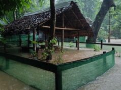 မူခိၣ်စူၤအဆၢတတဲၥ်ထံဒိၣ်ထီၣ်အဃိ,တၢ်ကြဲၢ်ကီၢ်ဆၣ်သဝီတနီၤအပူၤလီၢ်ကဝီၤကမျၢၢ်ဘၣ်သုးလီၢ်ကျဲ