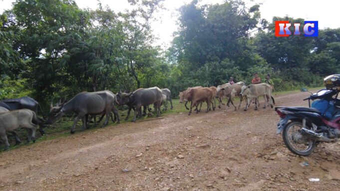 ကၠီၣ်တဲၣ်ကးတံာ်ကွံာ်တၢ်ၦ့ၤကျီၢ်ႇပနၢ်အဃိလီၢ်က၀ီၤအပူၤကျီၢ်ႇပနၢ်အၦ့ၤလီၤ၀ဲကွ့ၢ်ကွ့ၢ်