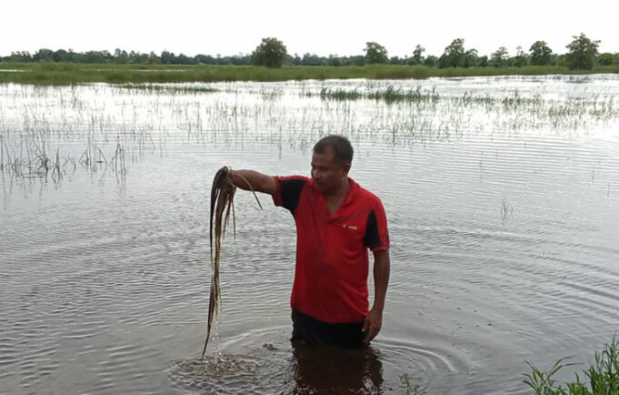 ချၢၣ်လွံၢ်ထူၣ်ကီၢ်ရ့ၣ်စံၥ်ပှဲၤထံဒိၣ်ဘၢကွံၥ်ဝဲဒီးဘုသံဝဲ(၄၆၇၀၀)အ့ကၢၢ်