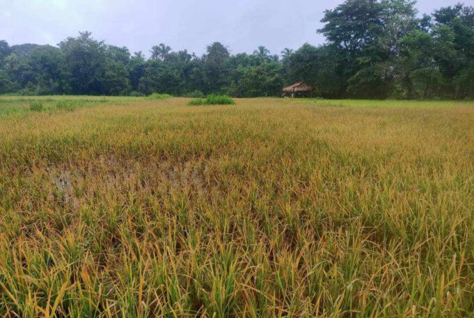 တၢ်စူၤထံဒိၣ်ထီၣ်၀ံၤလီၢ်ခံ(ဒူသထူၣ်ကီၢ်ရ့ၣ်)ကီၢ်ဆၣ်ကိးဘ့ၣ်ဒဲးသဂၢၢ်ဘၣ်ဘုဃၢ်လီၤတၢ်ဂ့ၢ်ကီ