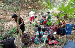 (လီလိ)ဟီၣ်ကဝီၤအပူၤသုးကီၣ်ကးဟံးန့ၢ်ကမျၢၢ်တၢ်ဖိတၢ်လံၤဝံၤအလီၢ်ခံဒွဲၣ်အူအီၣ်ဃုၥ်ဒီးကမျၢၢ်ဟံၣ်