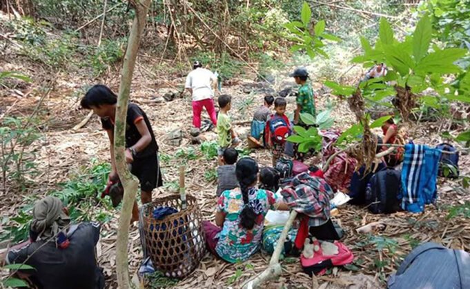 (လီလိ)ဟီၣ်ကဝီၤအပူၤသုးကီၣ်ကးဟံးန့ၢ်ကမျၢၢ်တၢ်ဖိတၢ်လံၤဝံၤအလီၢ်ခံဒွဲၣ်အူအီၣ်ဃုၥ်ဒီးကမျၢၢ်ဟံၣ်
