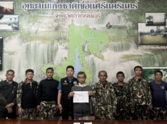 ကၠီၣ်တဲၣ်ပှၤဘၣ်မူဘၣ်ဒါ(၃)ဂၤဘၣ်ဒိ,ခီဖျိဖုအ့သံးအပှၤဒိးတကဲးတၢ်