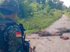 ခီပူးပယီၤသုးလၢဃ့ၢ်ဖျိးတဖၣ်ကျဲးစၢးလၢကက့ၤပၥ်ဖှိၣ်သးဒီးဖၣ်ပူၣ်ဒုးယၤသုးကလၢၤ