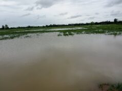 ချၢၣ်လွံၢ်ထူၣ်ကမျၢၢ်(အသဘ့ဟီၣ်လၥ်)လီၤဘျၢခီဖျိတၢ်စူၤအါထီၣ်