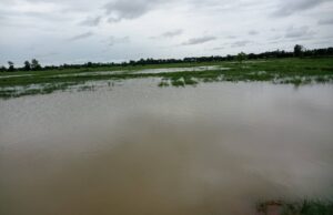 ချၢၣ်လွံၢ်ထူၣ်ကမျၢၢ်(အသဘ့ဟီၣ်လၥ်)လီၤဘျၢခီဖျိတၢ်စူၤအါထီၣ်