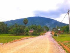 တနီသရံၣ်ကီၢ်ဆၣ်ပူၤ ကျိဖးဒိၣ်အဃိကမျၢၢ်ဘၣ်ဒိ(၅)ဂၤအကျါပၣ်ဃုၥ်ဖိသၣ်(၁၃)နံၣ်တဂၤဒီးကသံၣ်သရၣ်မုၣ်တဂၤ