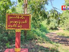 ကညီတၢ်ပၢၢ်ဆၢမုၢ်နံၤ ပယီၤသုးလဲၤတ့ၢ်လီၤကဒီးဒြိမ့ၣ်ပိၢ်(၅)ဘ့ၣ်လၢတၤအုးနံၤသ၀ီ