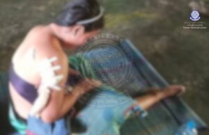 ချၢၣ်လွံၢ်ထူၣ်ခံသီအတီၢ်ပူၤပယီၤသုးခးလီၤကျိဖးဒိၣ်ဘၣ်ဒိဝဲကမျၢၢ်သးစၢ်(၄)ဂၤဒီးအနံၣ်(၄၀)တဂၤ